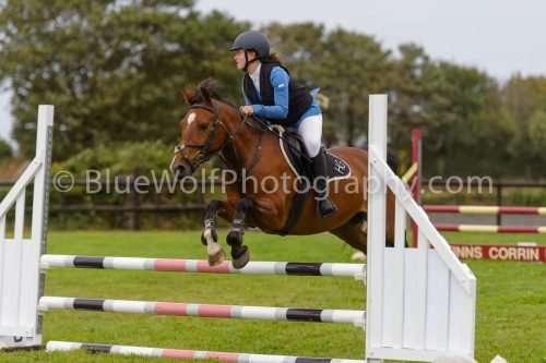 HOYS26-583