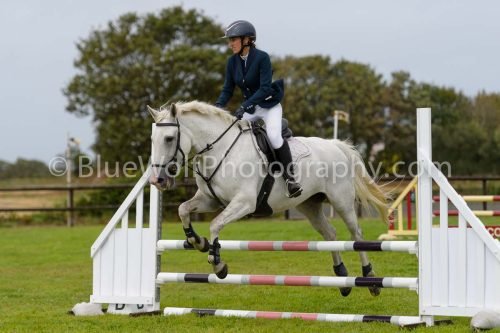 HOYS26-584
