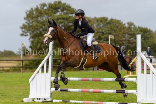 HOYS26-585