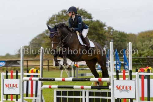 HOYS26-587