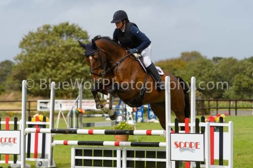 HOYS26-590