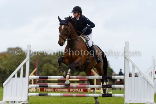 HOYS26-591