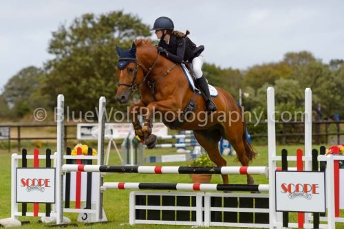 HOYS26-592