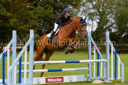 HOYS26-593