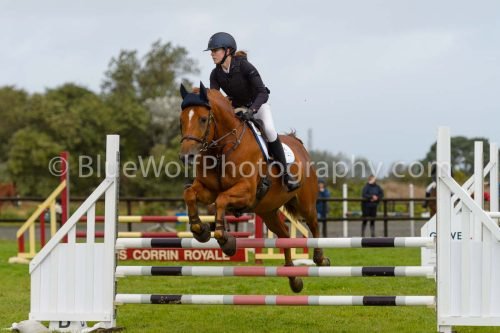 HOYS26-594