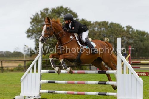 HOYS26-595