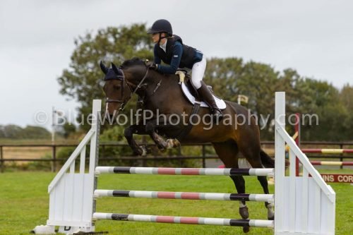 HOYS26-596
