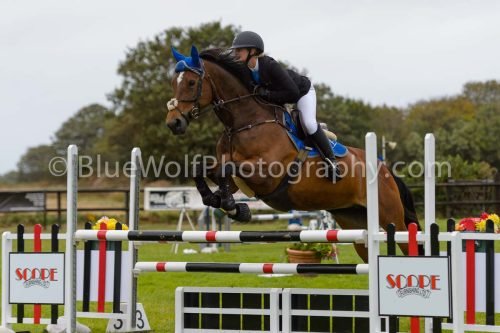 HOYS26-598