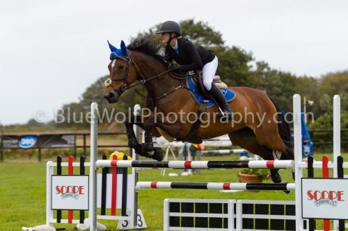 HOYS26-599