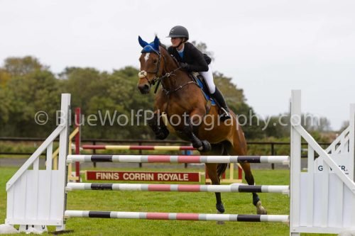 HOYS26-602