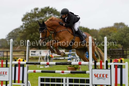 HOYS26-604