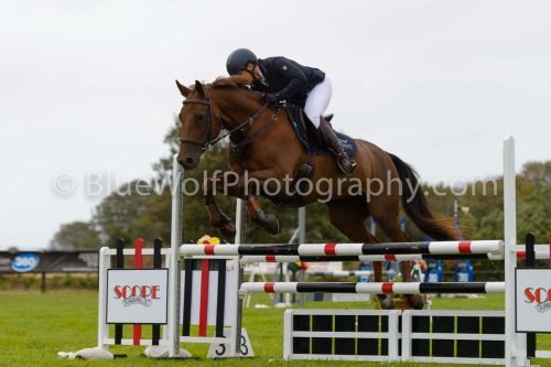 HOYS26-607