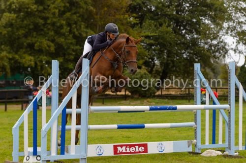 HOYS26-608