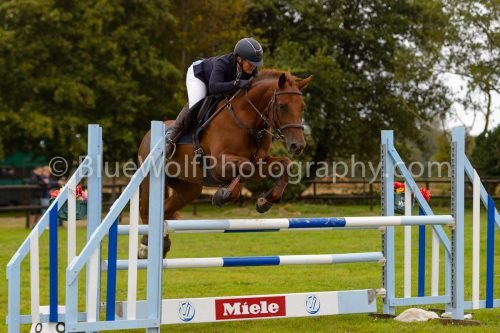 HOYS26-609