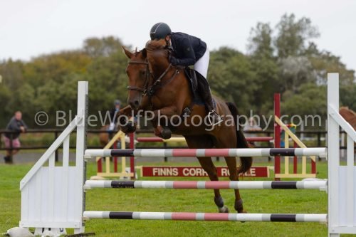 HOYS26-610