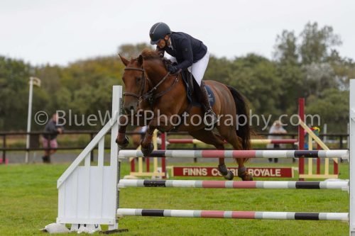 HOYS26-611