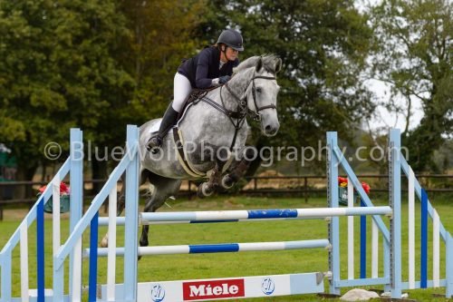 HOYS26-613