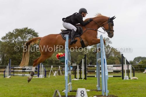 HOYS26-614