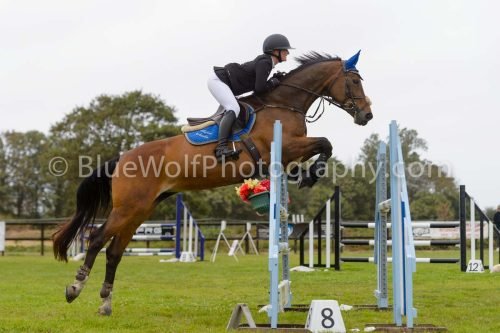 HOYS26-615