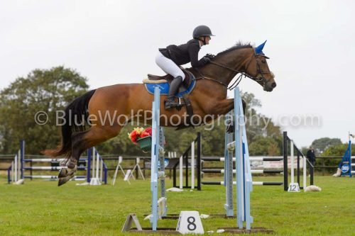 HOYS26-616