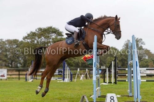 HOYS26-617