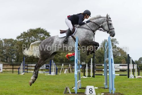 HOYS26-618