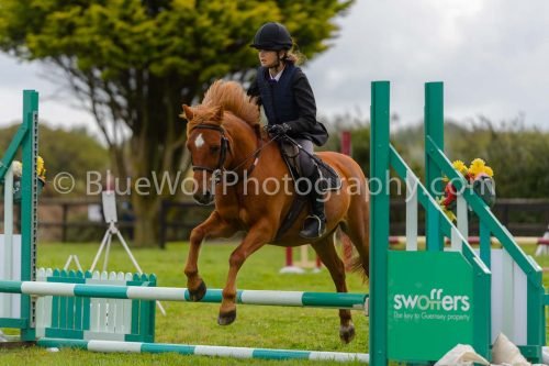 HOYS26-620