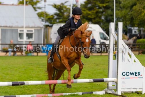 HOYS26-621