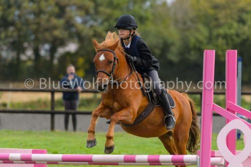 HOYS26-622