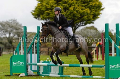 HOYS26-623