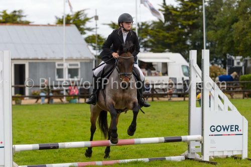 HOYS26-624