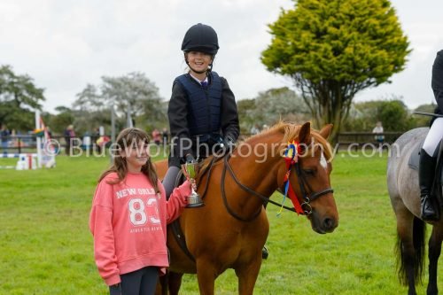 HOYS26-625