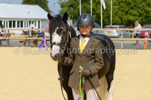 HOYS26-56