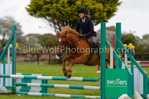 HOYS26-626