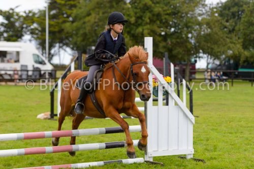 HOYS26-627