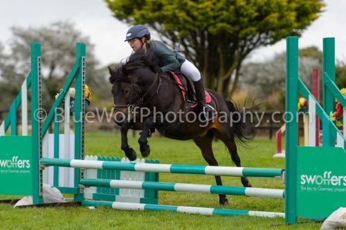 HOYS26-628
