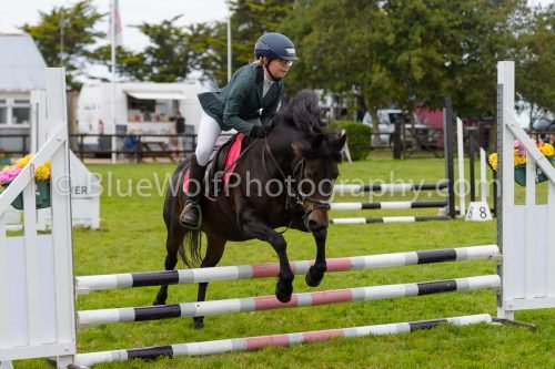 HOYS26-629