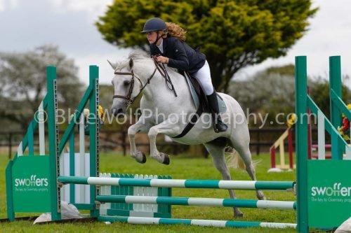HOYS26-631