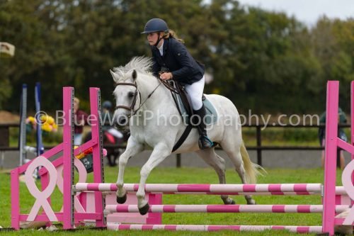 HOYS26-632