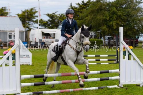HOYS26-635