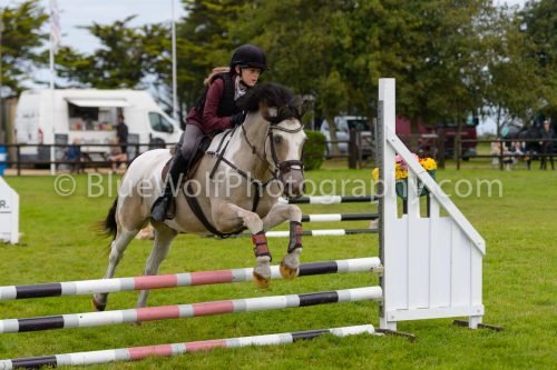 HOYS26-637