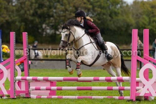 HOYS26-638