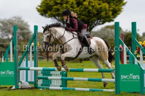 HOYS26-642