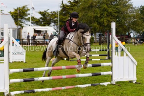 HOYS26-643