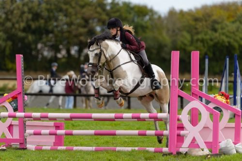 HOYS26-644