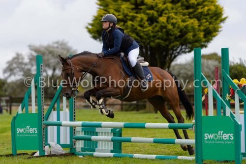 HOYS26-645
