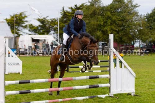 HOYS26-646