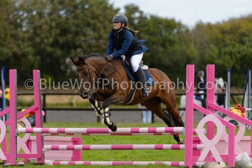 HOYS26-647