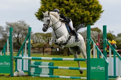 HOYS26-649