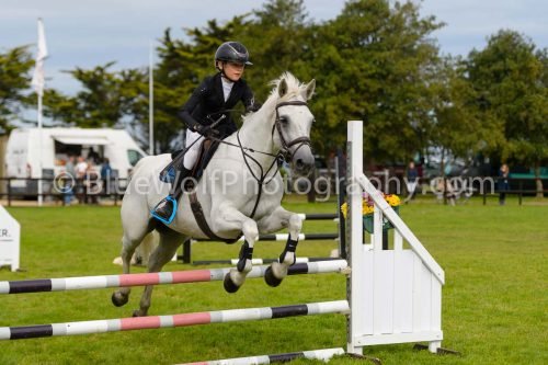 HOYS26-651